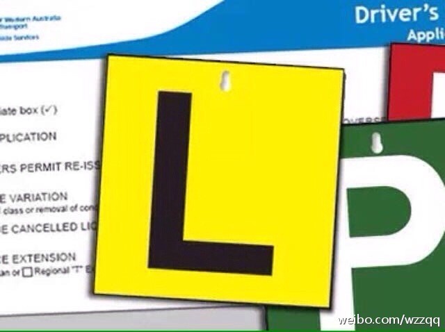 澳洲驾照的分级