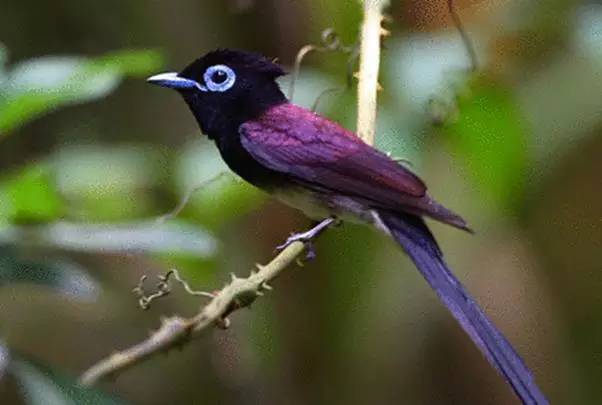 这个岛国借光了所有的风景,每个角度都能成就一张明信片