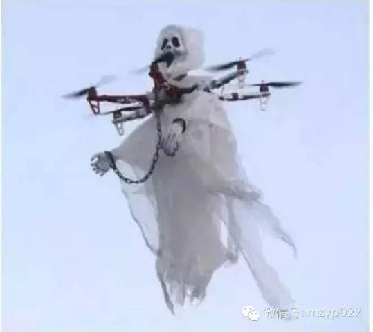 生活段子|如果我是韩国人就好了_新浪悦读_手