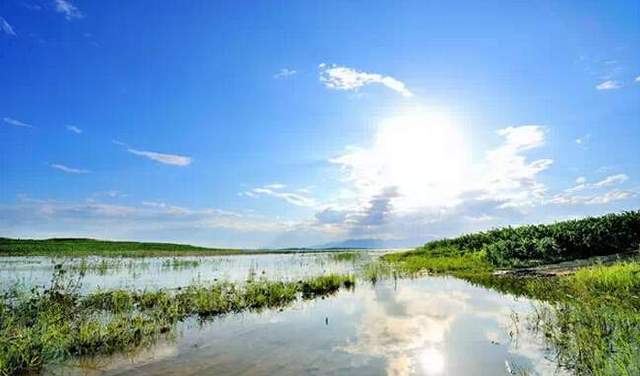 密云水库鱼出售 fe019ad114f5b381c096de34865ffd8b_650_382.jpg