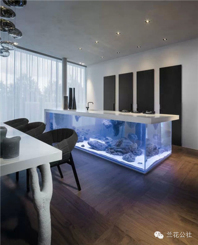 想知道比尔盖茨家的鱼缸长什么样吗?