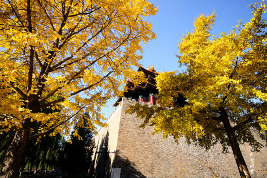 昔日皇家御城 魅力紫禁城秋日光影