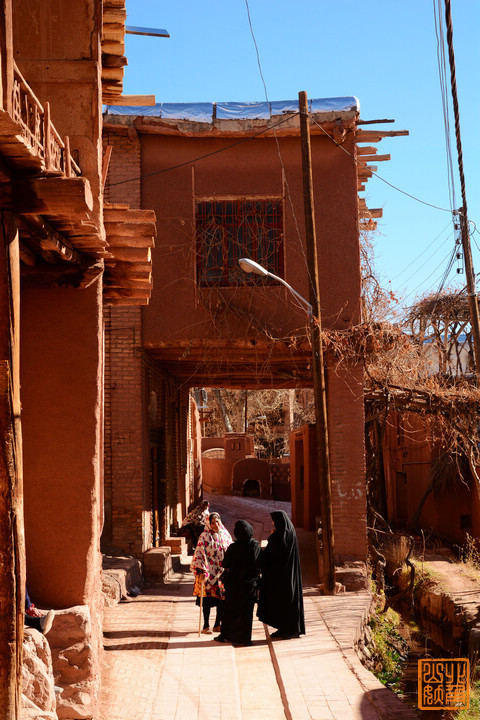 伊朗,村里,雪山,男人,花婆婆