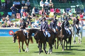 不可“策马扬鞭”