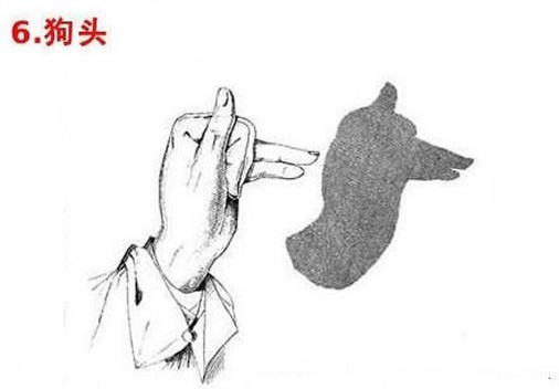 手影你会么?教你16种手影的做法哦!