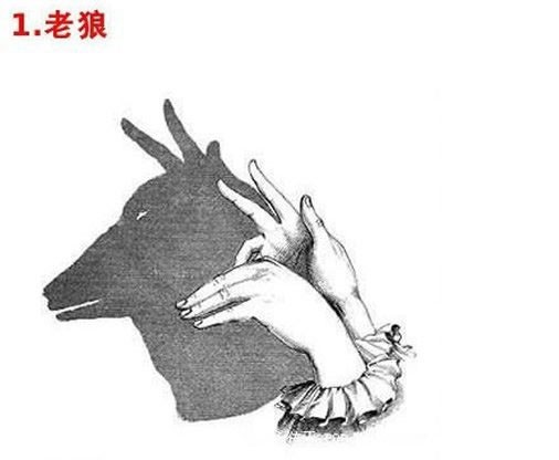 手影你会么?教你16种手影的做法哦!