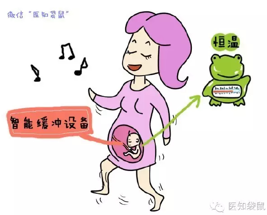 也是胎儿的防震装置,能使羊膜腔内处于恒温状态,它是怀孕时子宫羊膜腔