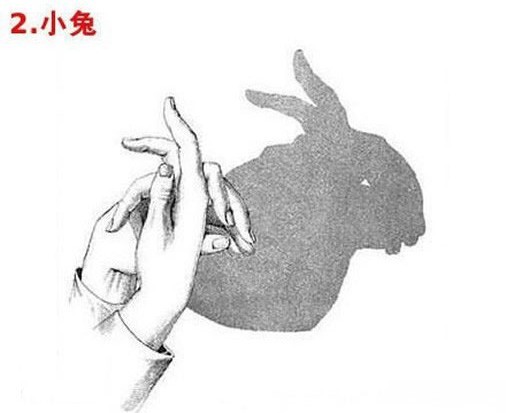 手影你会么?教你16种手影的做法哦!
