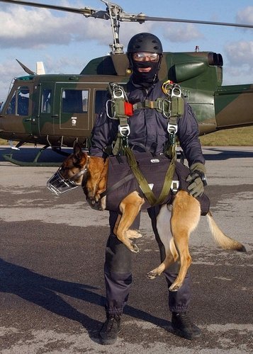 特種兵攜軍犬高空跳傘