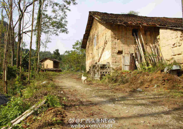 广西贫困村六成人外出务工