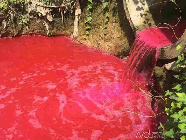 在颜色最深的地方,南都记者找到红色污水的出水口,是一根口640_480