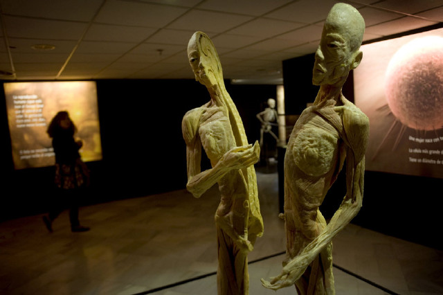 举办方表示,展览让人们更加直观地了解关于人体的知识.