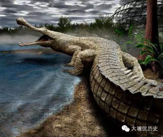 14种已灭绝的神奇动物 - 文章