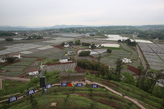 泸州市江阳区分水岭镇董允坝村的省级高效节水灌溉规模化试点项目.