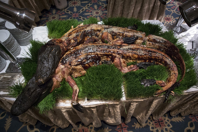 探险家奇葩晚宴